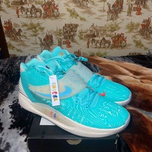 Nike KD14 Enspire Friends And Family Shoes DV2098-300 Mens Size 17 Aurora Green.